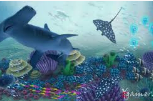 跳高高cq9游戏官网入口2024最新版